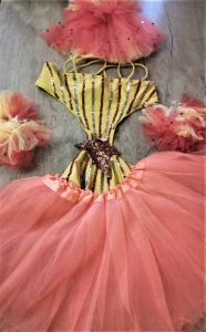 Kids Costumes to Hire - Carnival Circus - GIRL